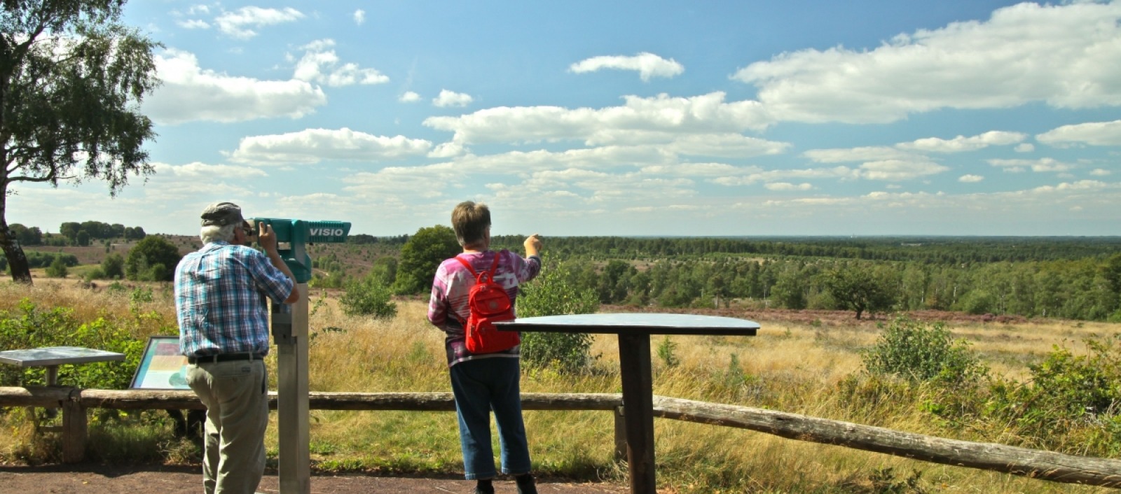 10 tips om te doen in Nationaal Park Sallandse Heuvelrug - VisitOost