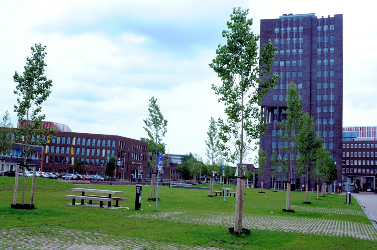 Camperplaats Centrum Almelo — photo 5